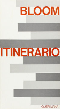 9788839914170 - Itinerario. Meditazioni su un tema