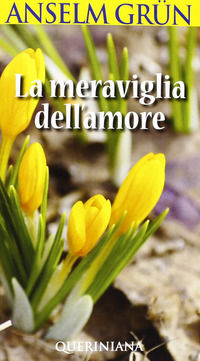 9788839922908 - La meraviglia dell'amore