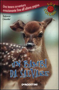 Foto non disponibile