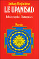 9788842505358 - Le upanishad. Vol. 3: Brhadaranyaka. Svetasvatara