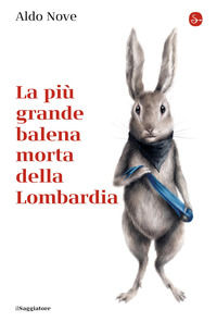 Foto non disponibile