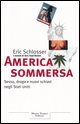 9788843804566 - America sommersa