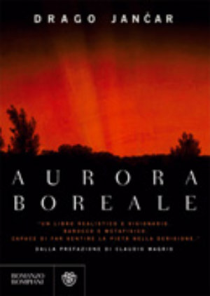 9788845260063 - Aurora boreale