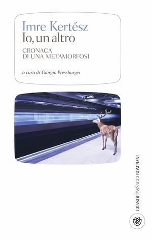 Foto non disponibile