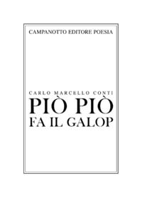 Foto non disponibile