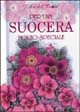9788847424326 - Per una suocera molto speciale. Ediz. illustrata