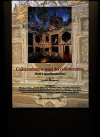 9788849227437 - Collezionismo e spazi del collezionismo. Temi e sperimentazioni