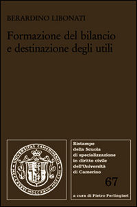 9788849528473 - Formazione del bilancio e destinazione degli utili
