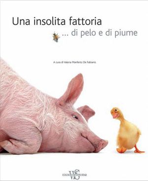 Foto non disponibile