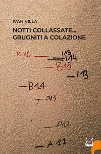 Foto non disponibile
