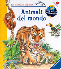 Foto non disponibile