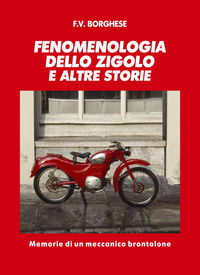 9788855481960 - Fenomenologia dello Zigolo e altre storie. Memorie di un meccanico brontolone