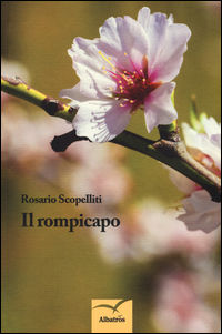 9788856780871 - Il rompicapo