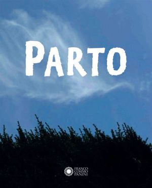 9788857005911 - Parto. Diario di 9 mesi in acqua-Parto. Diario di 9 mesi in aria. Ediz. illustrata