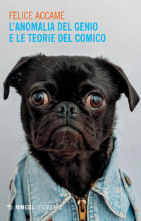 Foto non disponibile