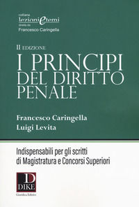 9788858209455 - I principi del diritto penale. Indispensabili per gli scritti di magistratura e concorsi superiori