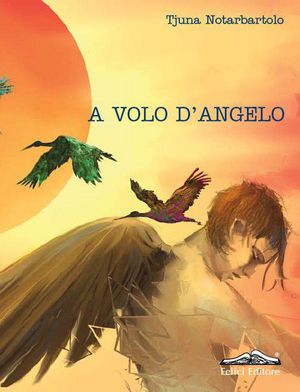 9788860195814 - A volo d'angelo