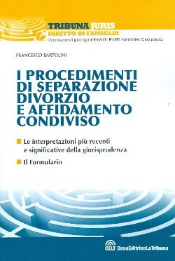 9788861326996 - I procedimenti di separazione, divorzio e affidamento condiviso