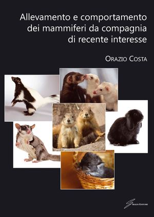 Foto non disponibile
