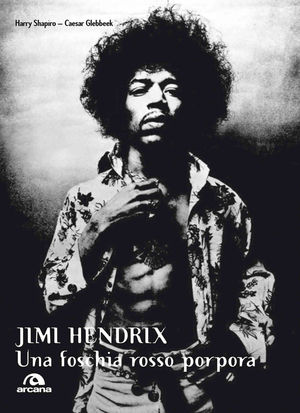 9788862311663 - Jimi Hendrix. Una foschia rosso porpora