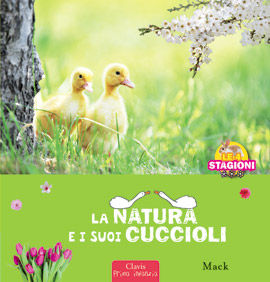 9788862581875 - La natura e i sui cuccioli. Le 4 stagioni. Ediz. illustrata