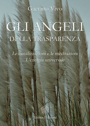 9788863650273 - Angeli della trasparenza. Le canalizzazioni e le meditazioni. L'energia universale