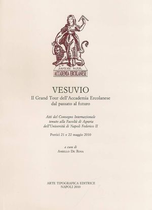 9788864190433 - Vesuvio. Il grand tour dell'Accademia Ercolanese dal passato al futuro