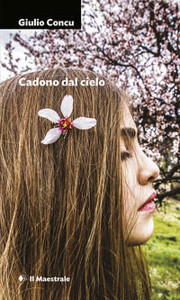 9788864292052 - Cadono dal cielo