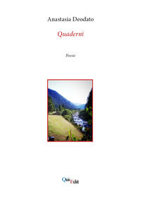 9788864642628 - Quaderni