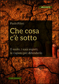 Foto non disponibile