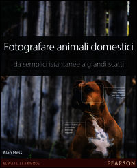 Foto non disponibile