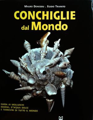 Foto non disponibile