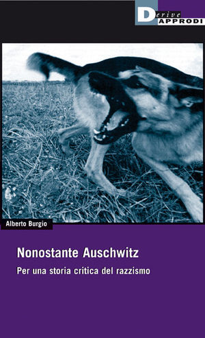Foto non disponibile