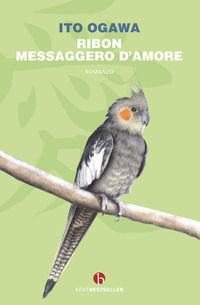 Foto non disponibile