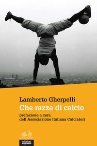 9788865791813 - Che razza di calcio
