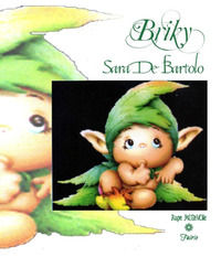9788865915868 - Briky. Ediz. illustrata