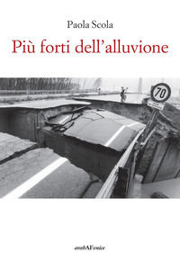 9788866176411 - Più forti dell'alluvione