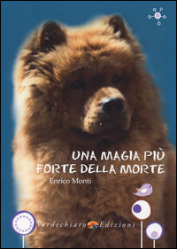 Foto non disponibile