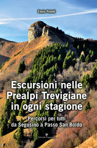 9788866434764 - Escursioni nelle Prealpi Trevigiane in ogni stagione. Percorsi per tutti da Segusino a Passo San Boldo