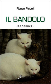 Foto non disponibile