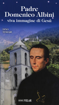 9788866713531 - Padre Domenico Albini. Viva immagine di Gesù