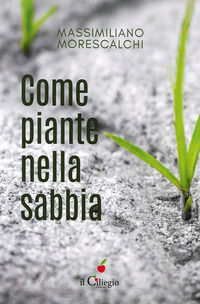 9788867717088 - Come piante nella sabbia