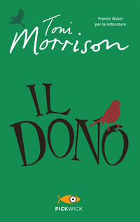 Foto non disponibile