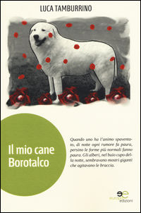 Foto non disponibile