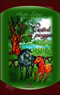 9788868840983 - Ciottoli di pioggia