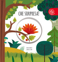 9788868907549 - Che sorpresa! Ediz. a colori