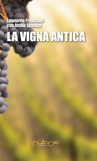 Foto non disponibile