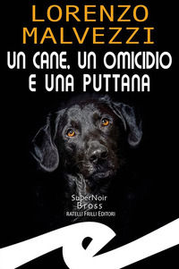 Foto non disponibile