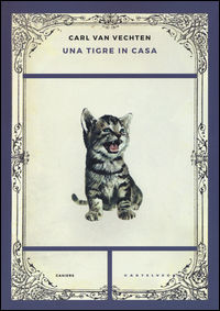 Foto non disponibile