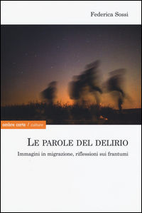 9788869480492 - Le parole del delirio. Immagini in migrazione, riflessioni sui frantumi